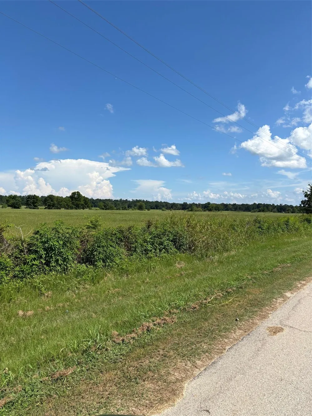 585 Industrial Park Boulevard Trinity, TX 75862