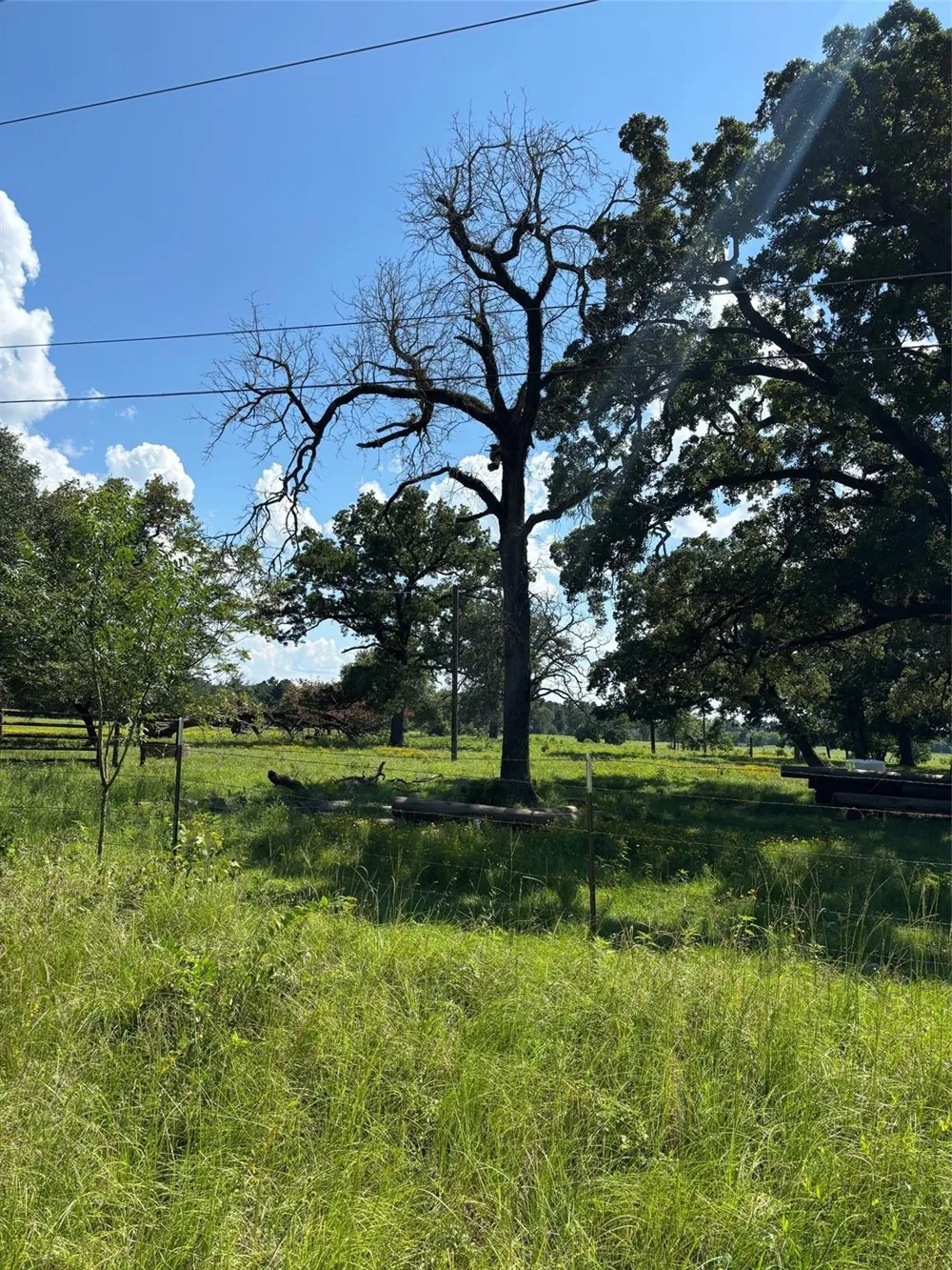 585 Industrial Park Boulevard Trinity, TX 75862
