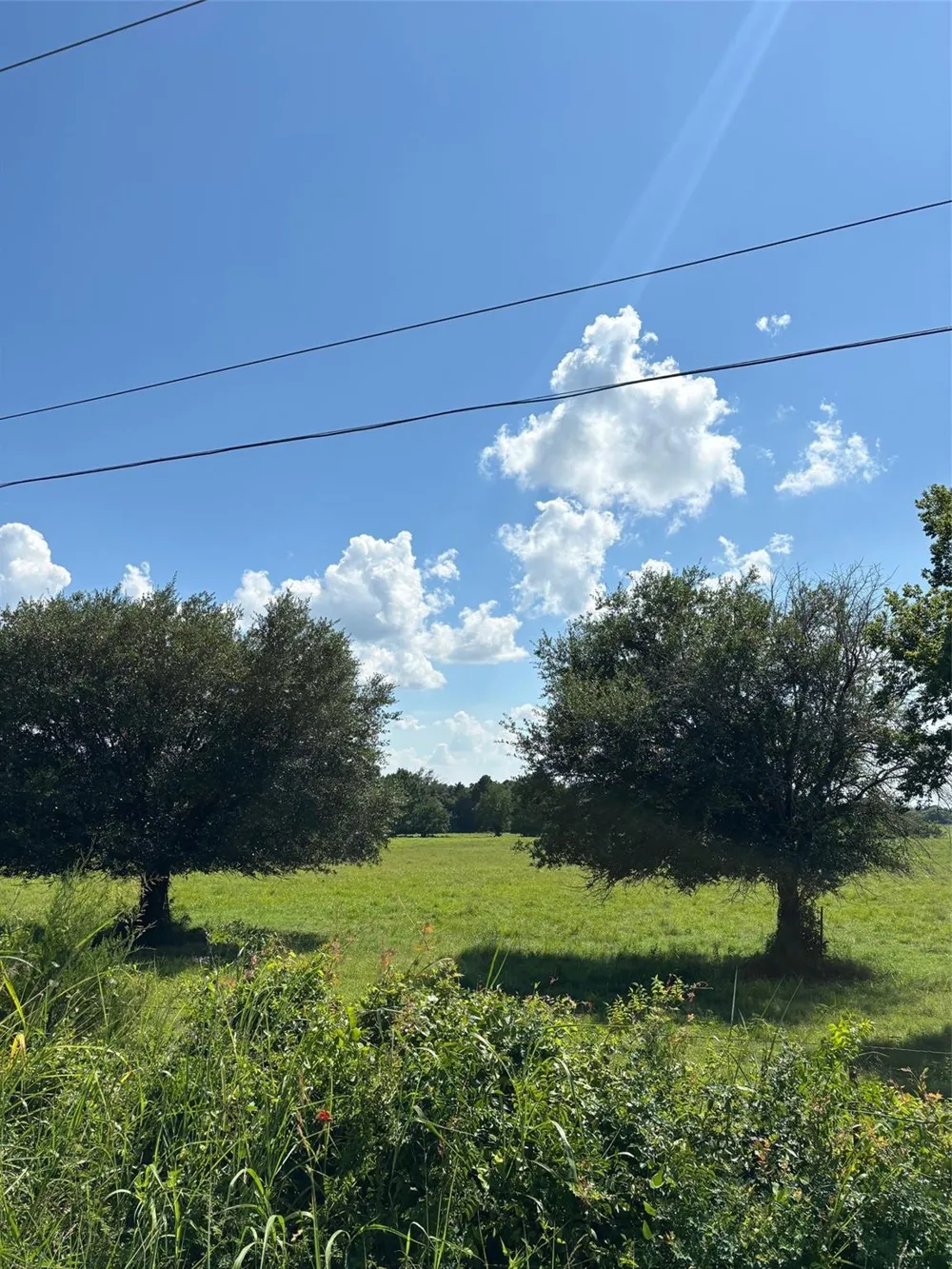 585 Industrial Park Boulevard Trinity, TX 75862