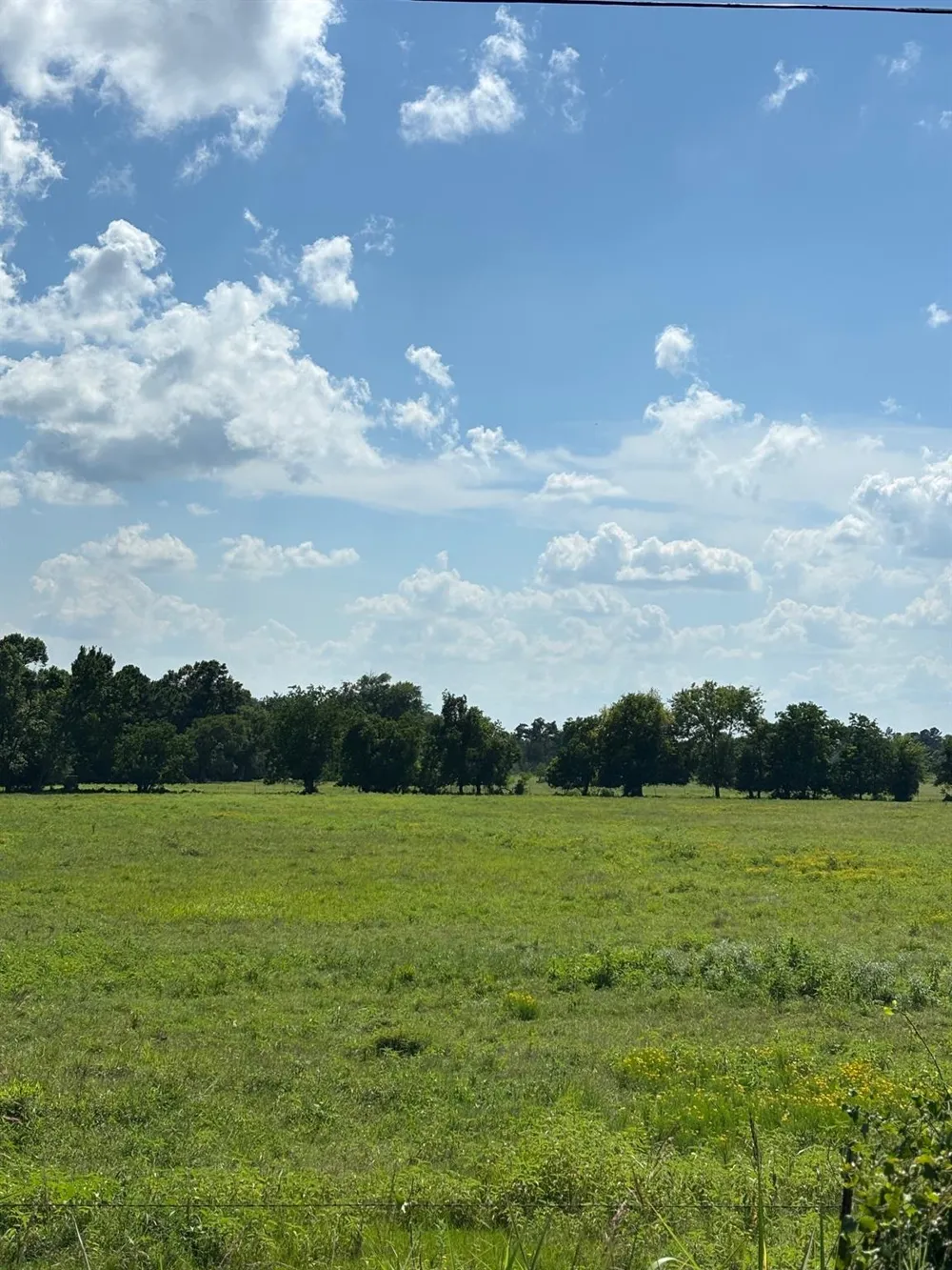 585 Industrial Park Boulevard Trinity, TX 75862