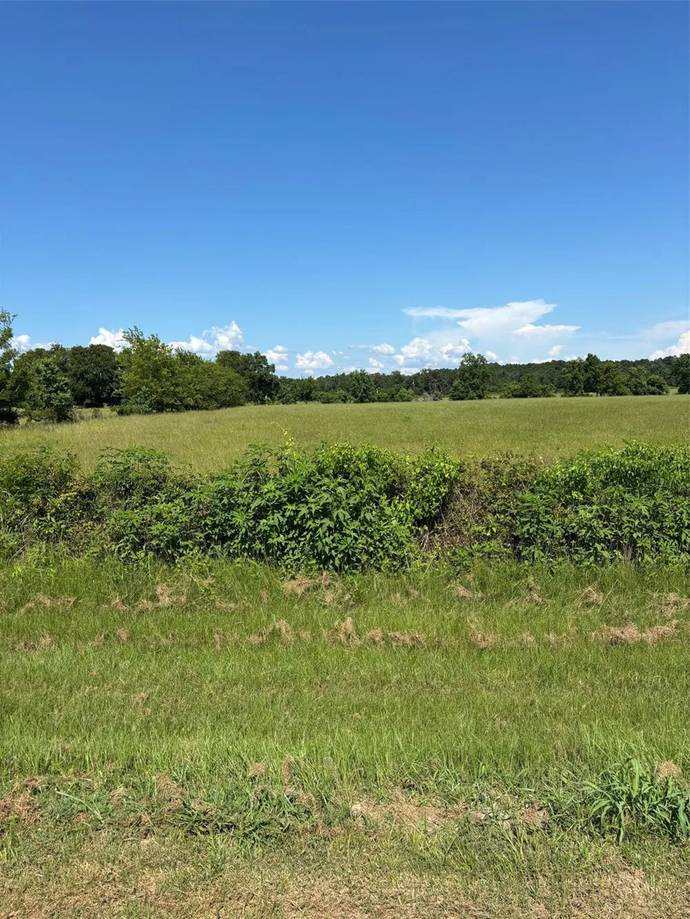 585 Industrial Park Boulevard Trinity, TX 75862