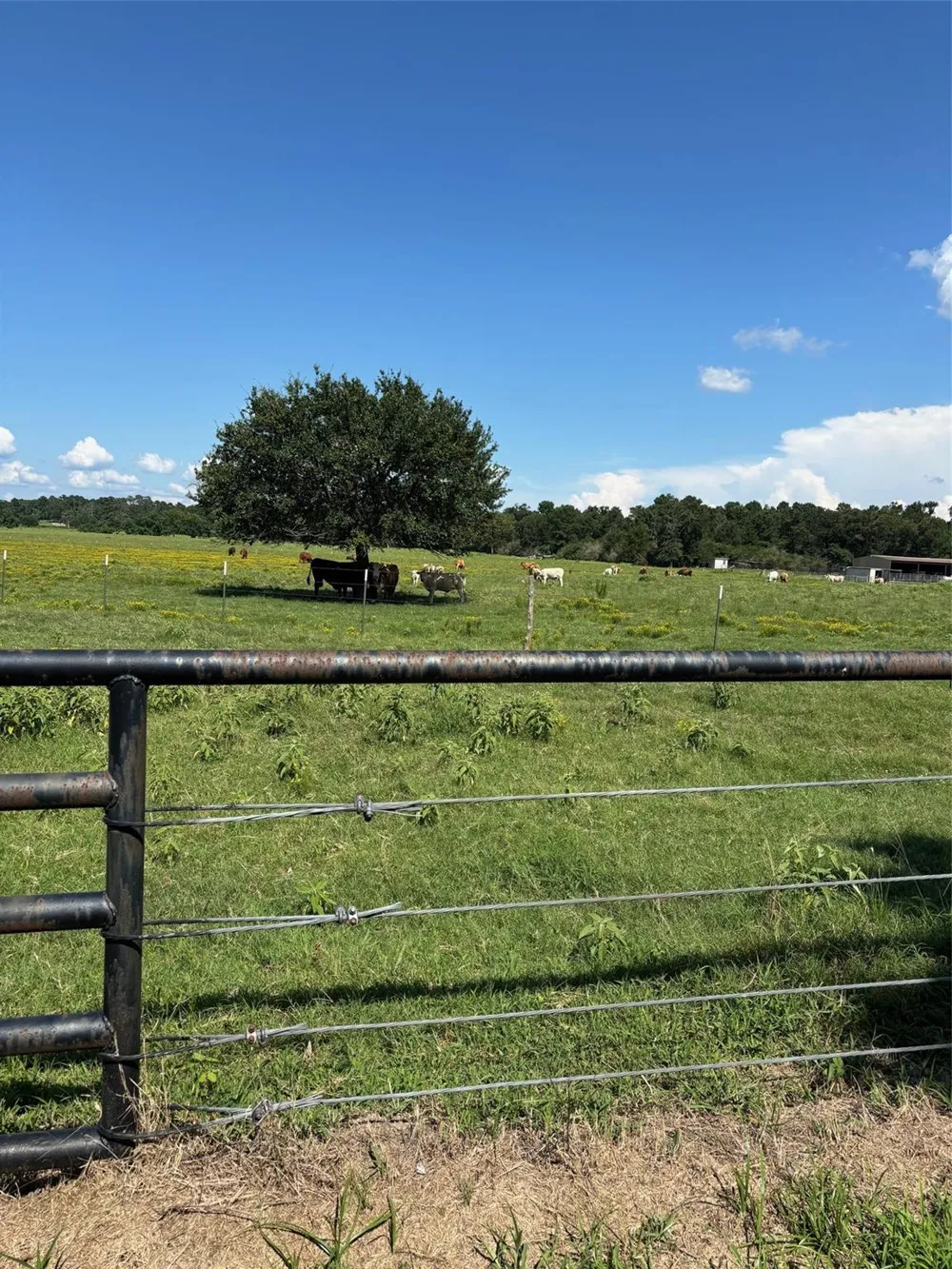 585 Industrial Park Boulevard Trinity, TX 75862