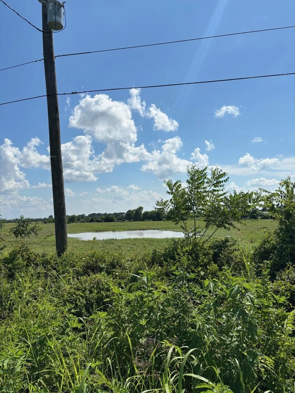 585 Industrial Park Boulevard Trinity, TX 75862