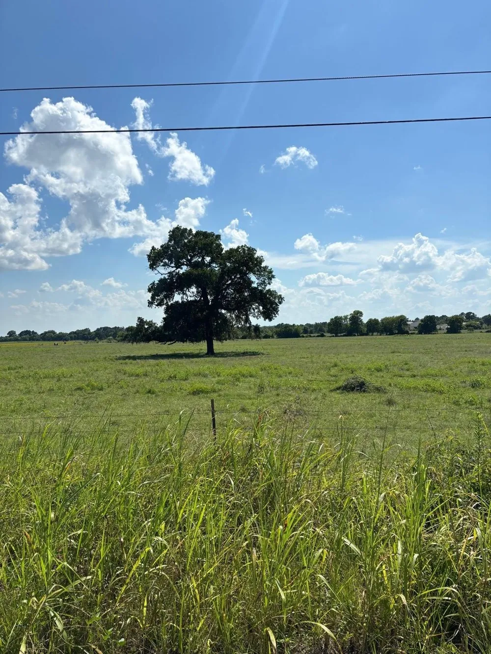 585 Industrial Park Boulevard Trinity, TX 75862