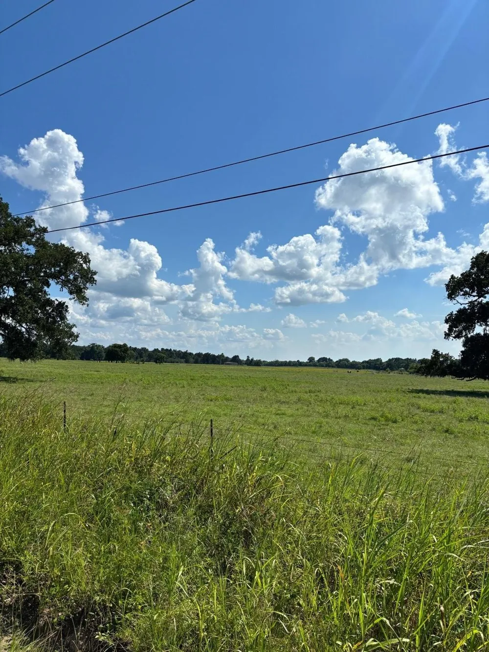 585 Industrial Park Boulevard Trinity, TX 75862