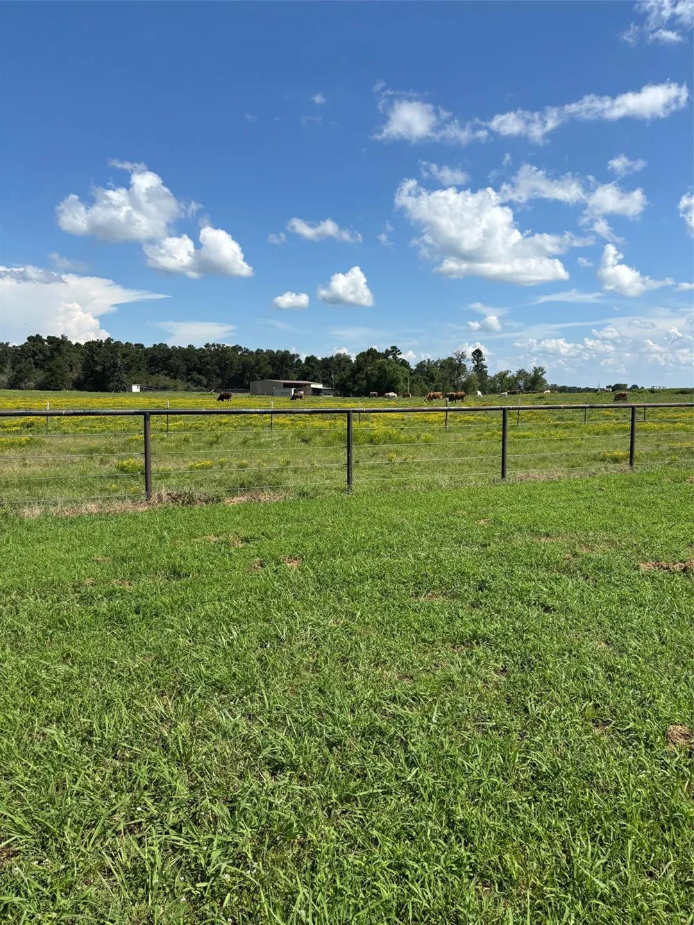 585 Industrial Park Boulevard Trinity, TX 75862