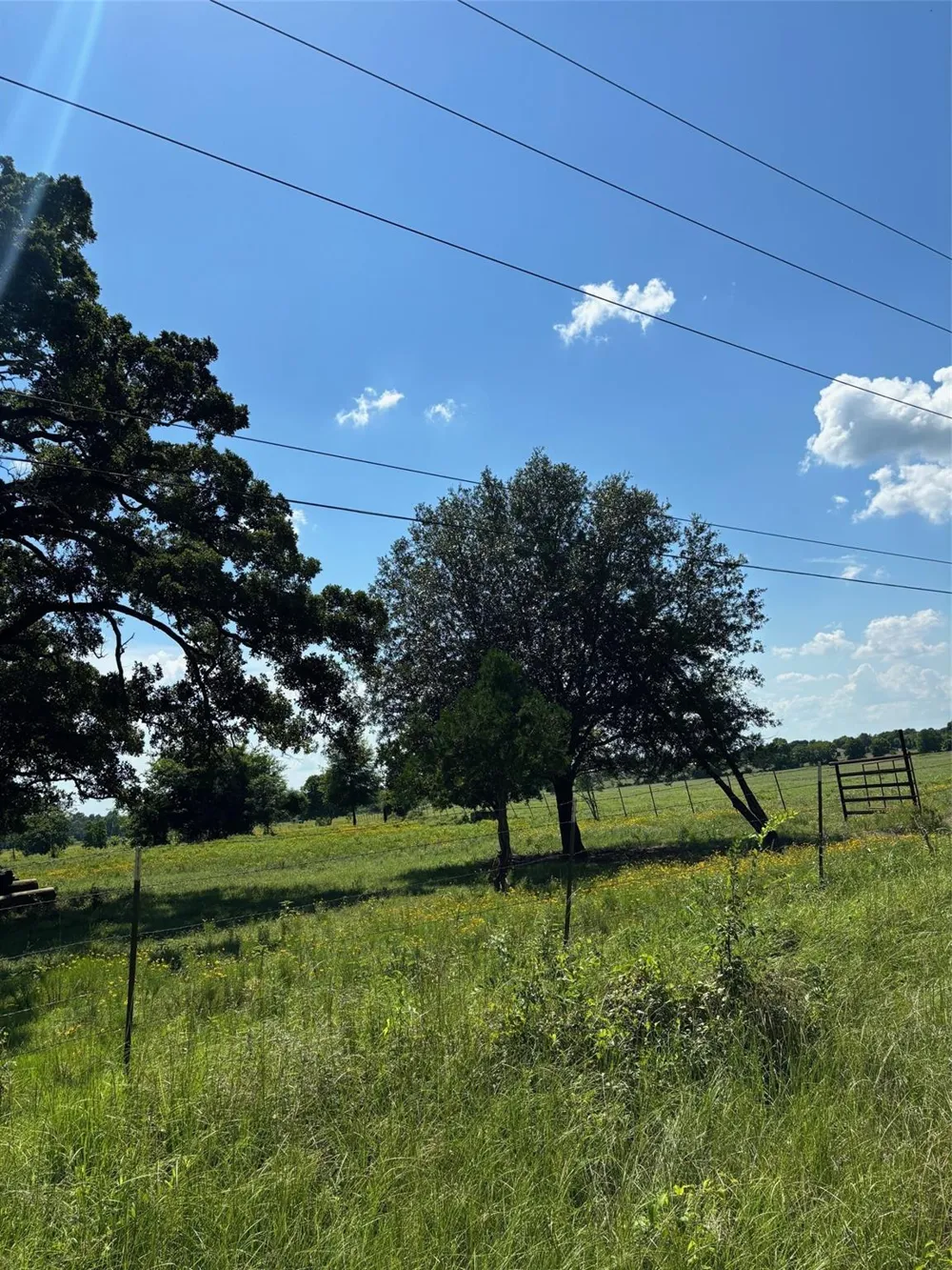 585 Industrial Park Boulevard Trinity, TX 75862