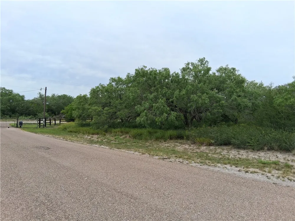 Swinney Switch Shores Rd Mathis, TX 78368