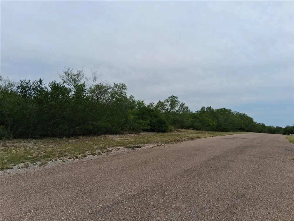 Swinney Switch Shores Rd Mathis, TX 78368