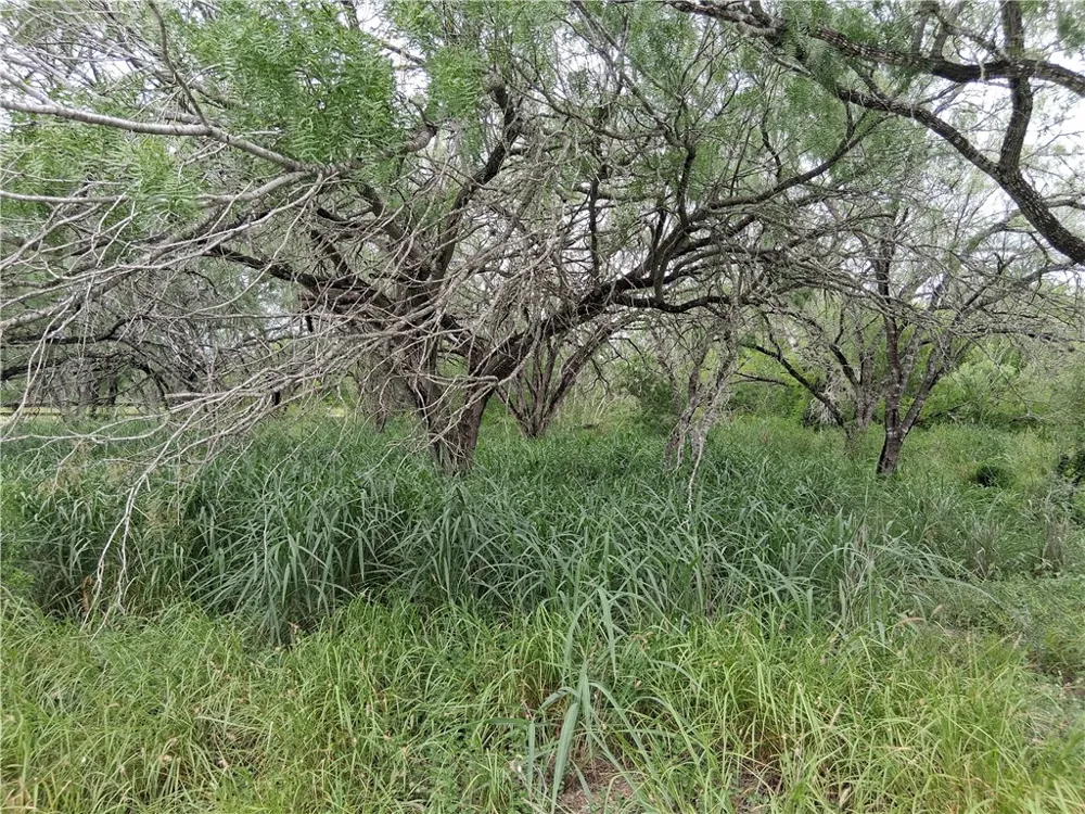 Swinney Switch Shores Rd Mathis, TX 78368