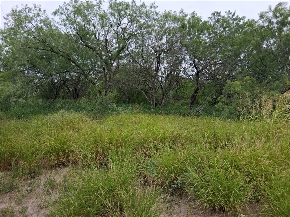 Swinney Switch Shores Rd Mathis, TX 78368