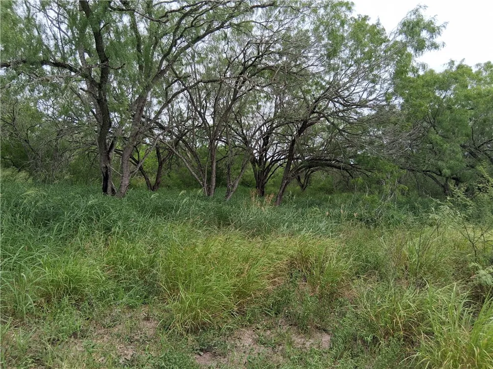 Swinney Switch Shores Rd Mathis, TX 78368