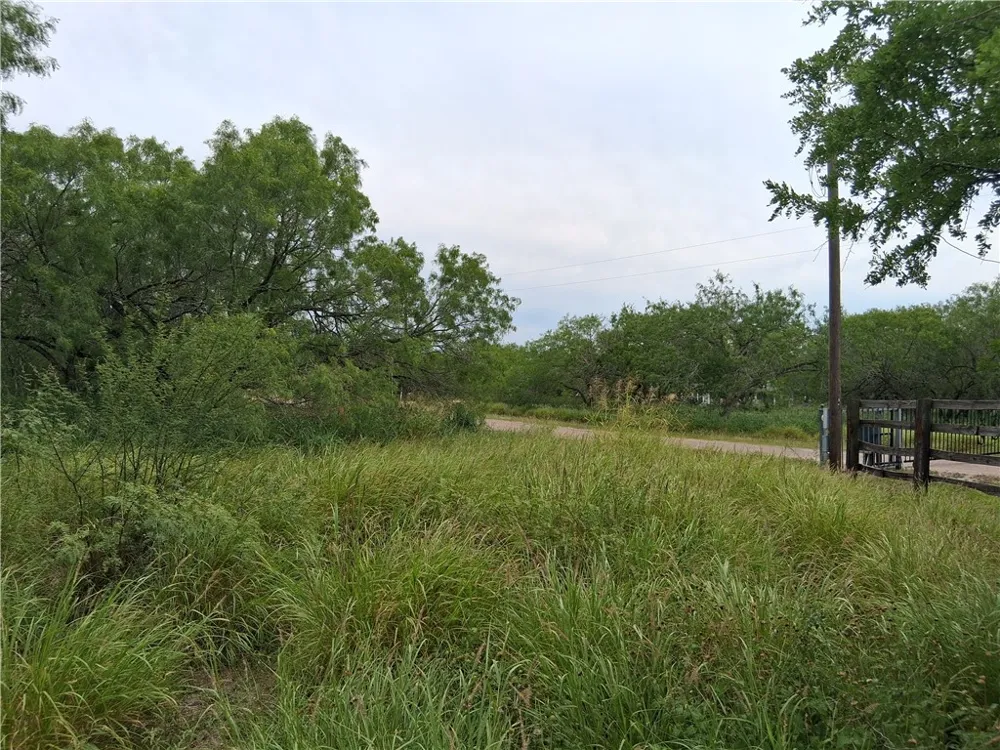 Swinney Switch Shores Rd Mathis, TX 78368