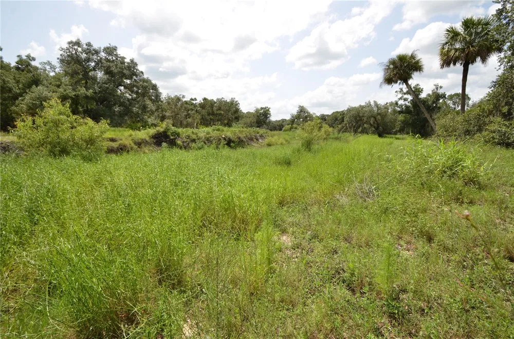 0 SE HIGHWAY 31 Arcadia, FL 34266