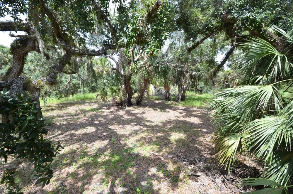 0 SE HIGHWAY 31 Arcadia, FL 34266