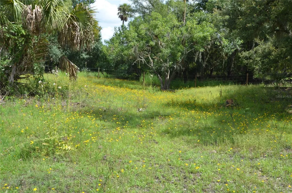 0 SE HIGHWAY 31 Arcadia, FL 34266