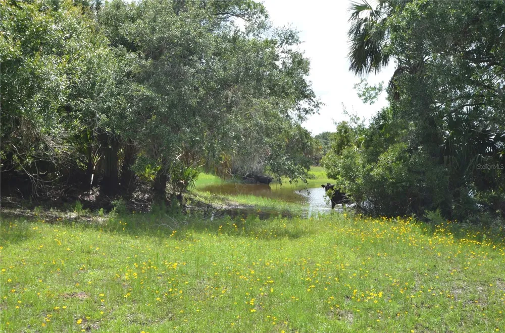 0 SE HIGHWAY 31 Arcadia, FL 34266