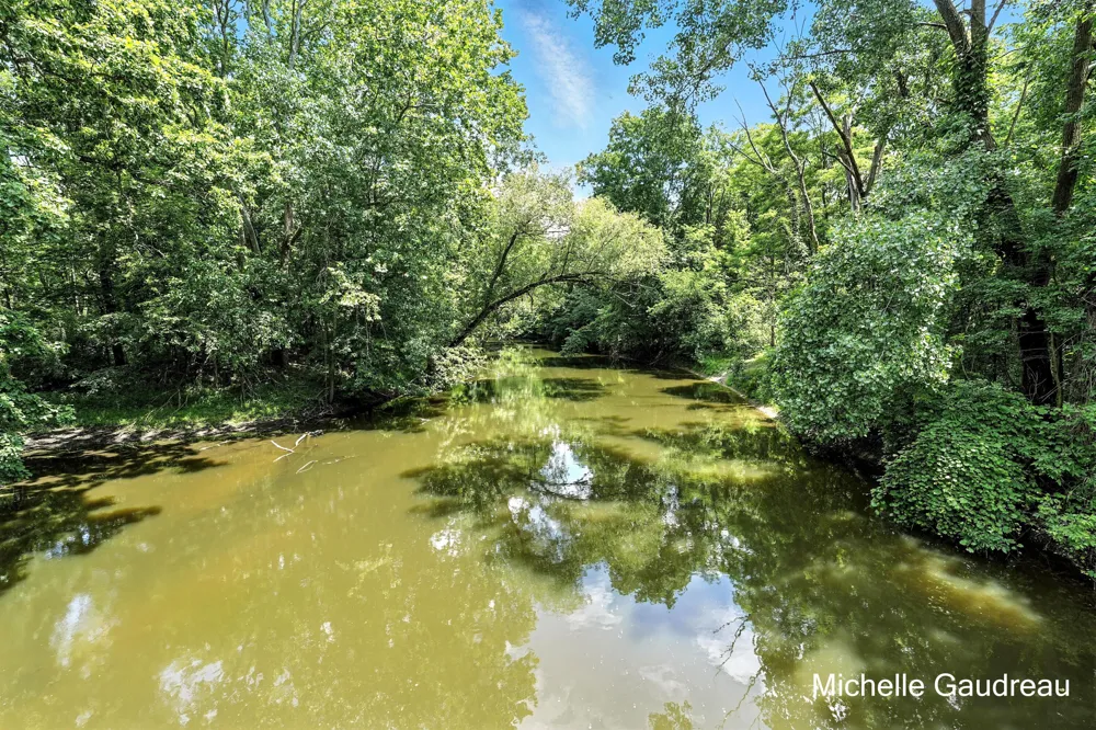 W Irving Road Middleville, MI 49333