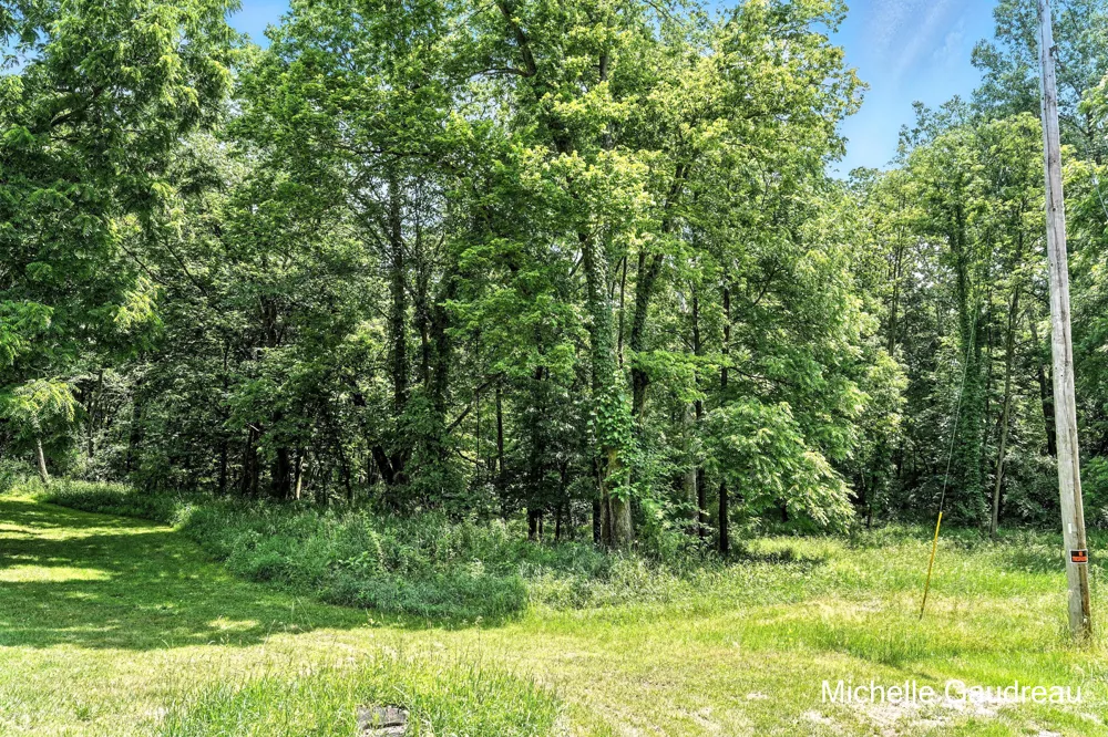 W Irving Road Middleville, MI 49333
