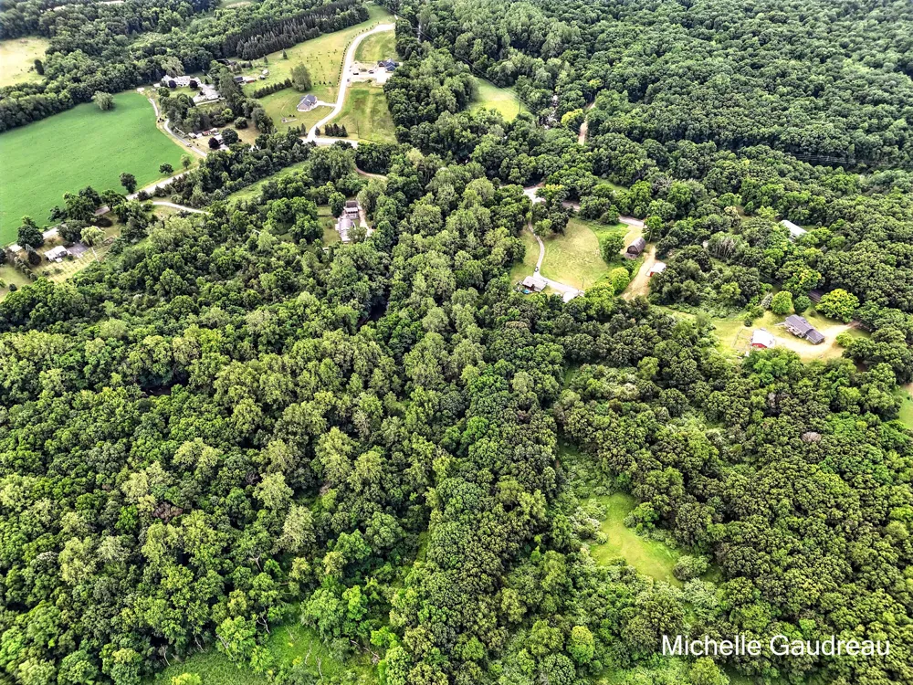 W Irving Road Middleville, MI 49333