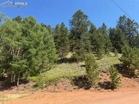 281 Pikes Peak Drive