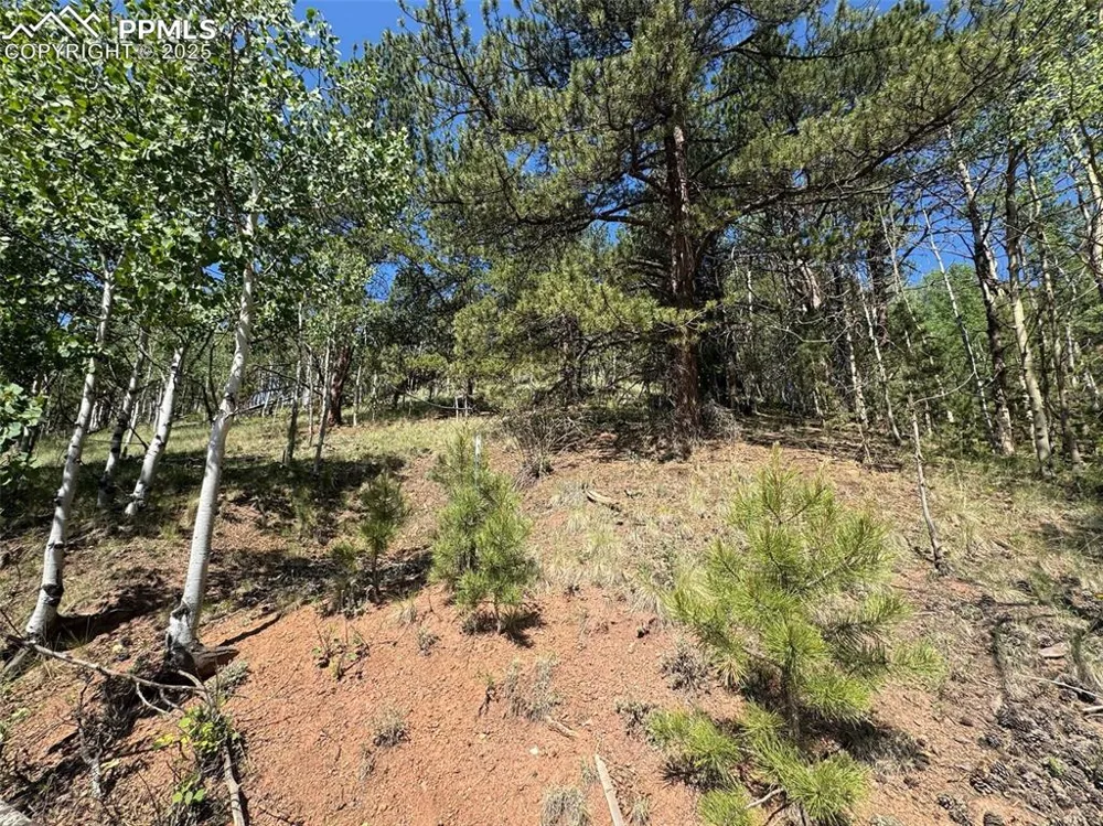 281 Pikes Peak Drive Divide, CO 80814