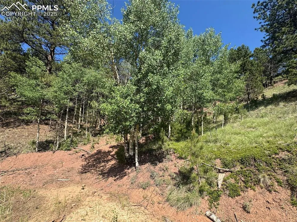 281 Pikes Peak Drive Divide, CO 80814