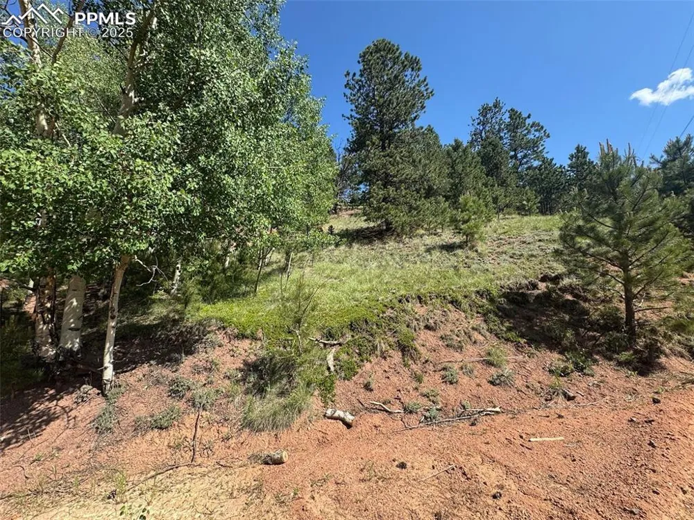 281 Pikes Peak Drive Divide, CO 80814