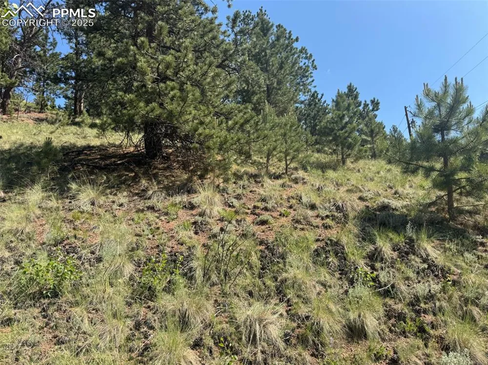 281 Pikes Peak Drive Divide, CO 80814