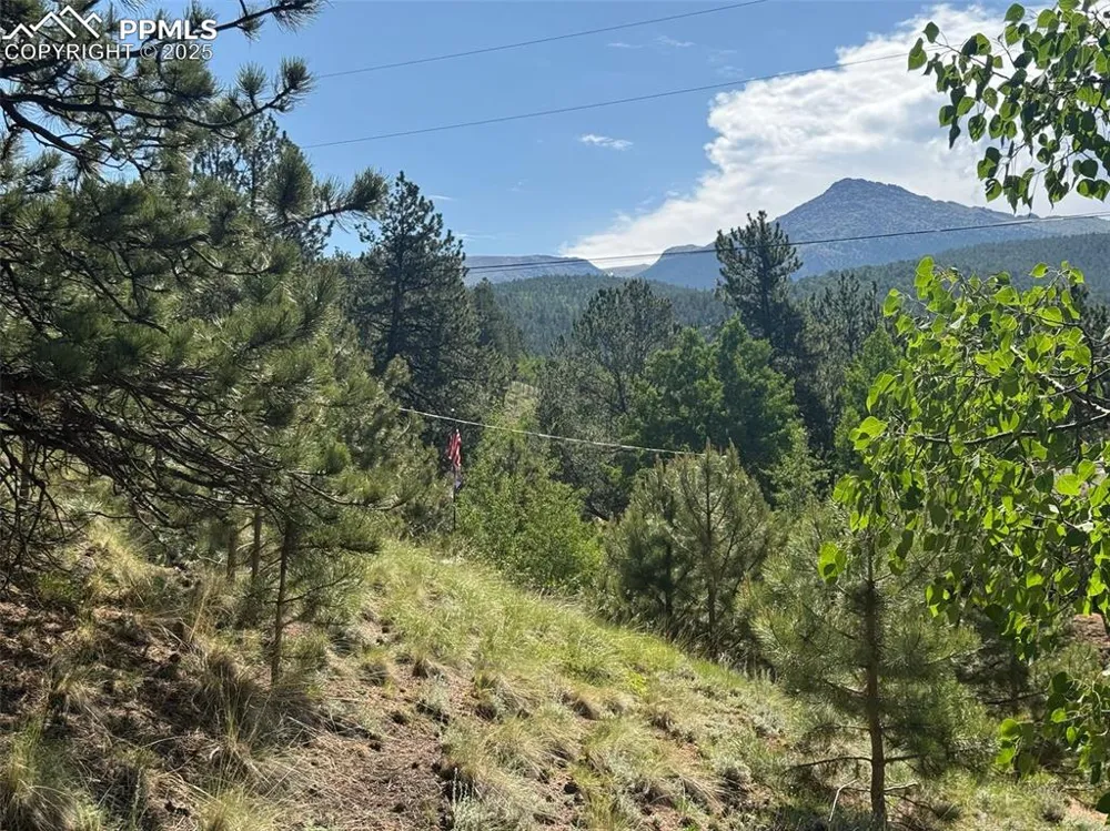 281 Pikes Peak Drive Divide, CO 80814