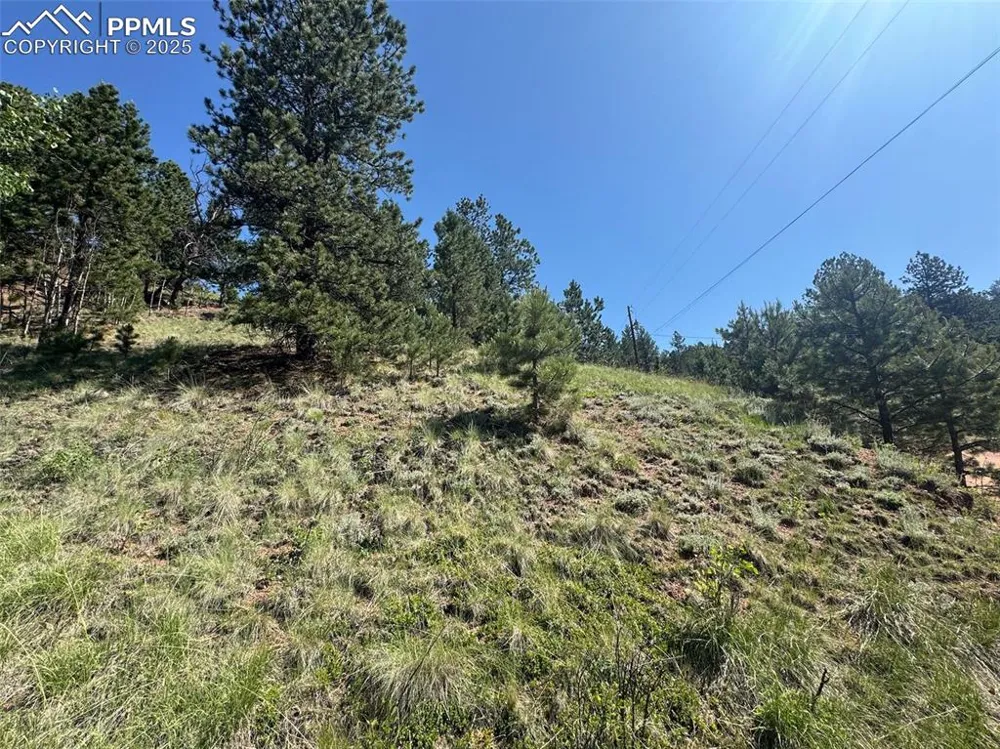 281 Pikes Peak Drive Divide, CO 80814