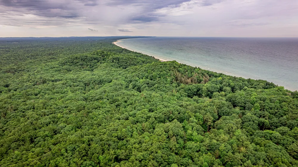 Avenue D Pentwater, MI 49449