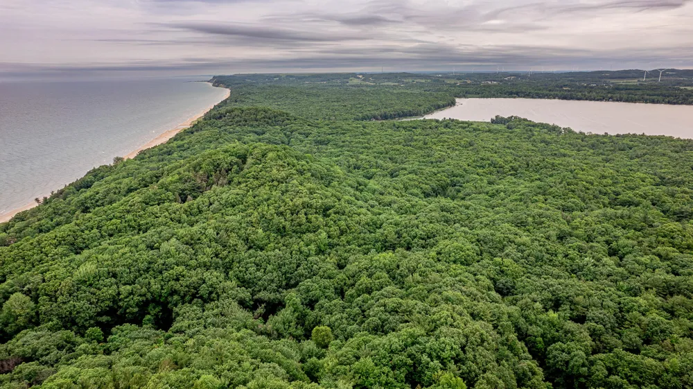 Avenue D Pentwater, MI 49449