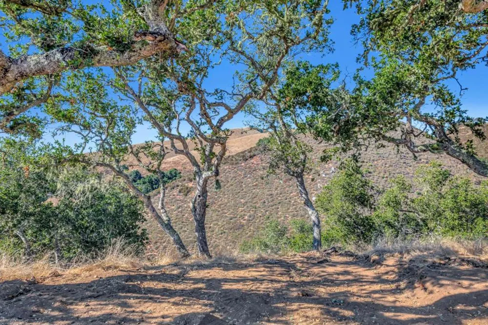 Ranch, Lot#3, 500 El Caminito Carmel Valley, CA 93924
