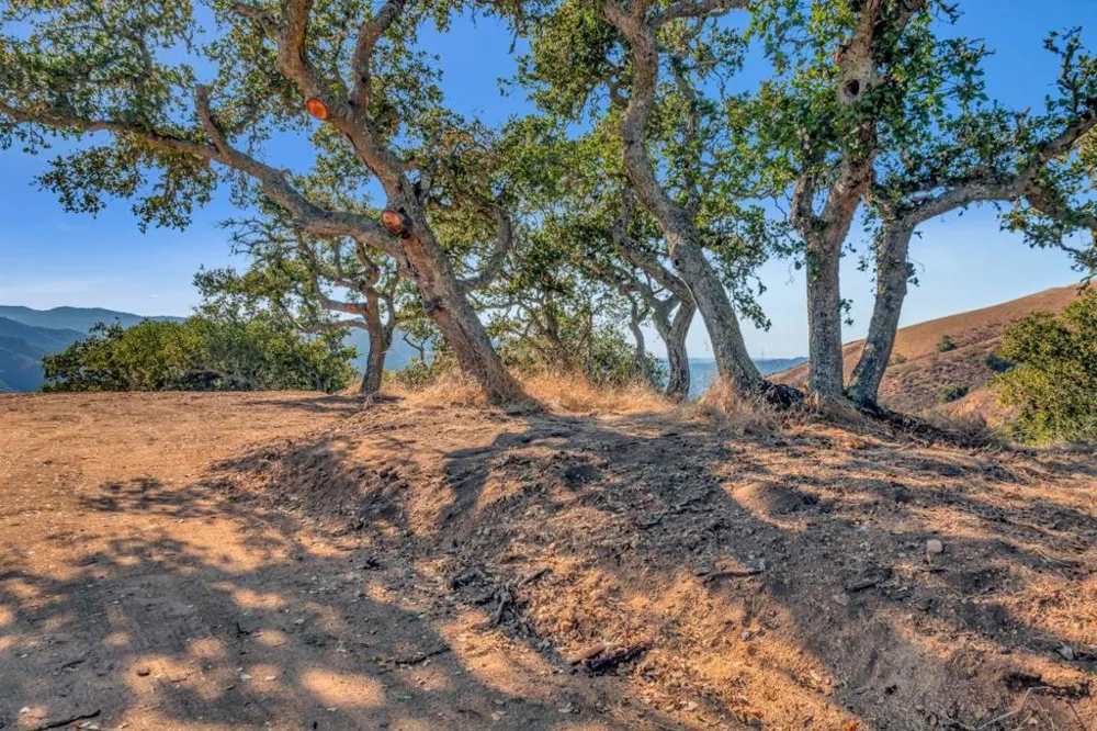 Ranch, Lot#3, 500 El Caminito Carmel Valley, CA 93924