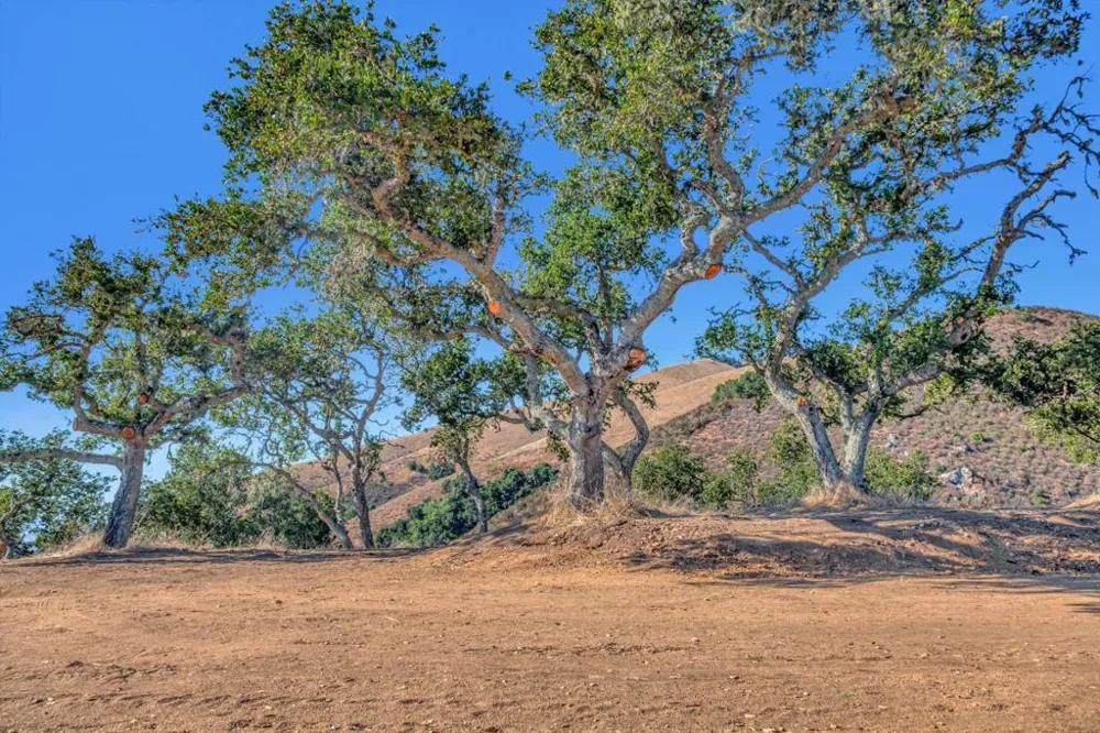 Ranch, Lot#3, 500 El Caminito Carmel Valley, CA 93924