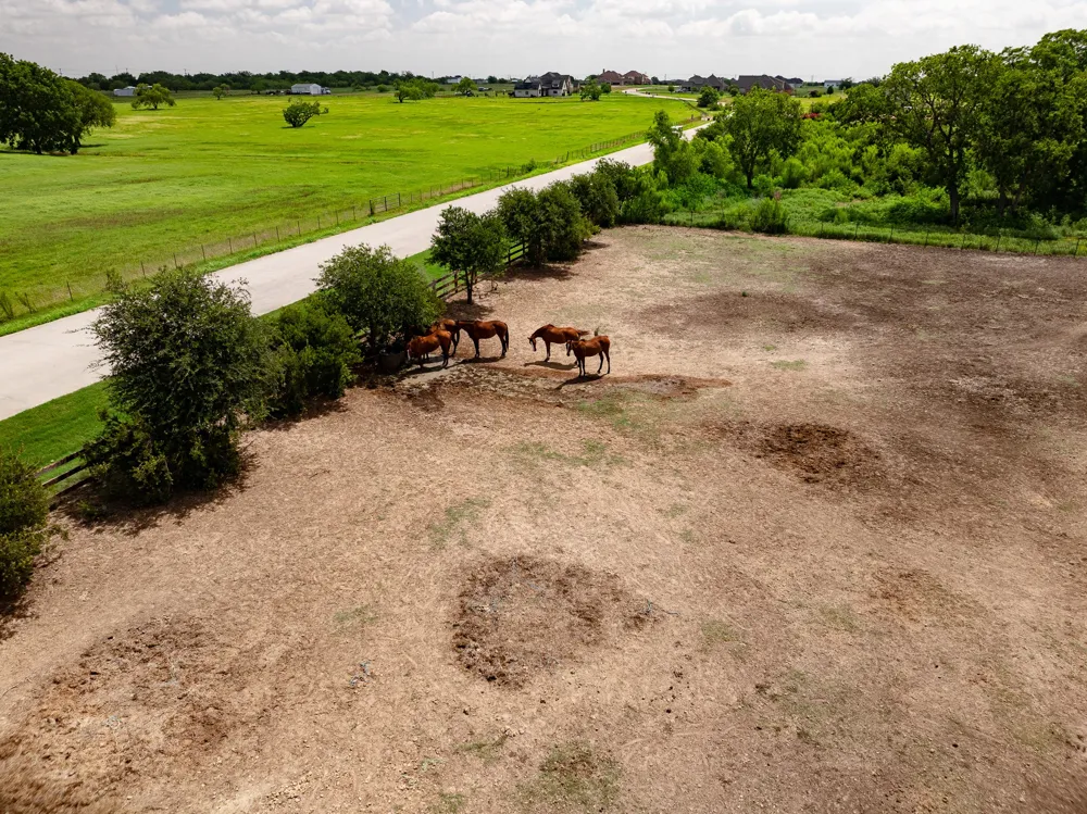 311 Martingale Trail Oak Point, TX 75068