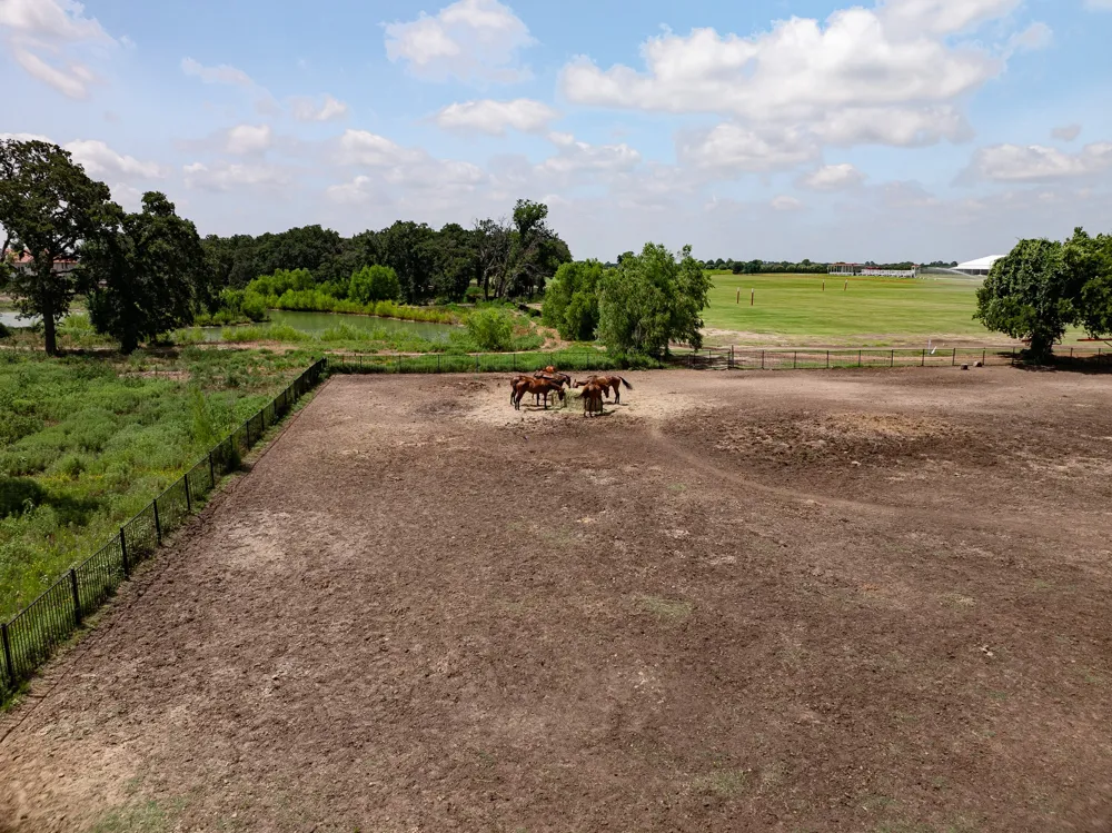311 Martingale Trail Oak Point, TX 75068