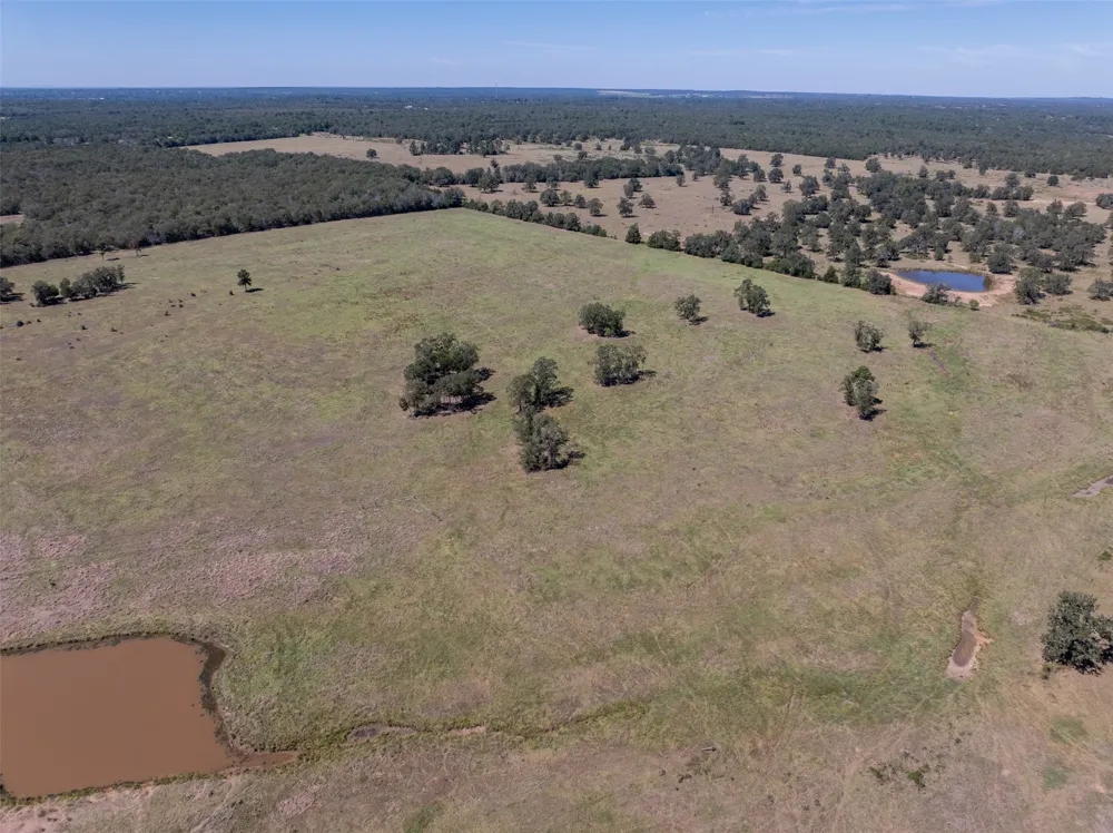 1078 Old Pin Oak Road #Tract 1 Paige, TX 78659