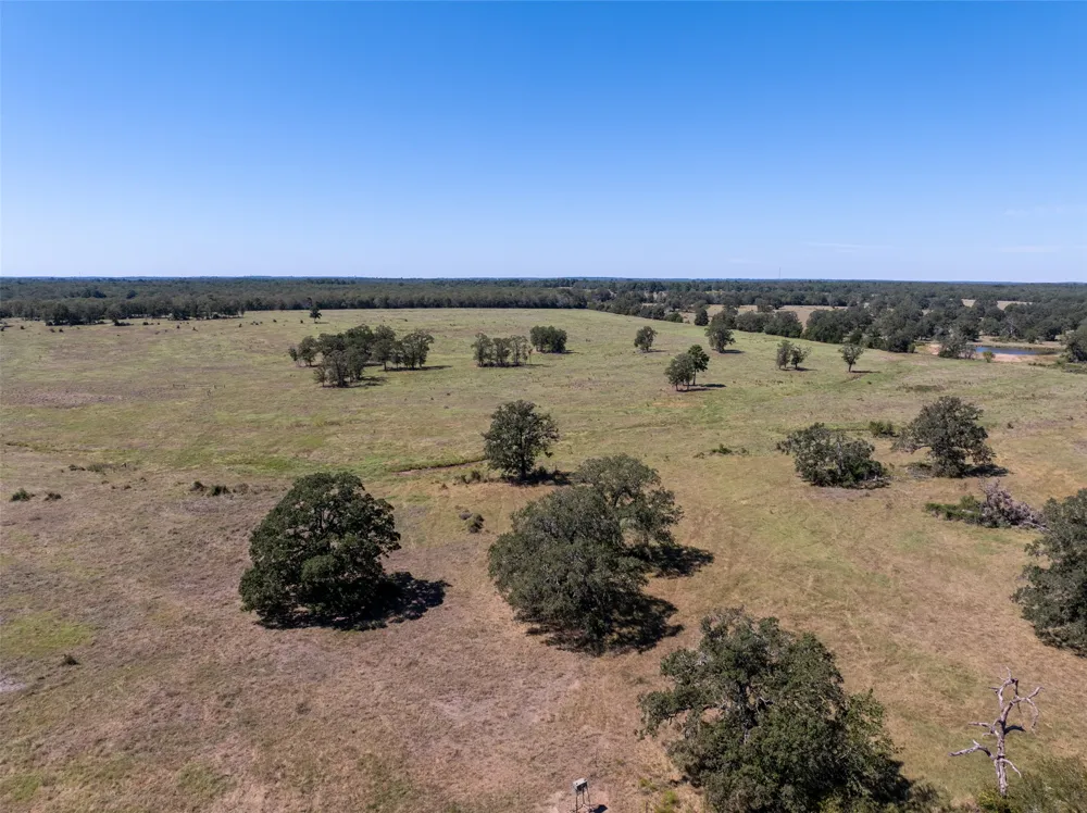 1078 Old Pin Oak Road #Tract 1 Paige, TX 78659