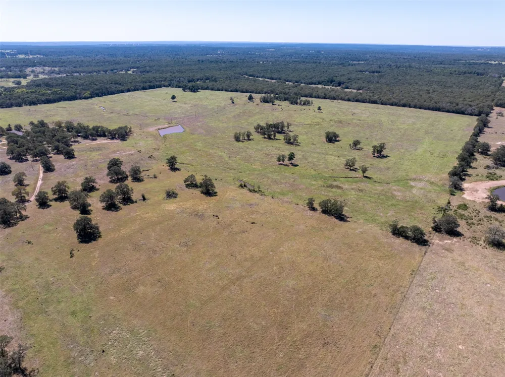 1078 Old Pin Oak Road #Tract 1 Paige, TX 78659