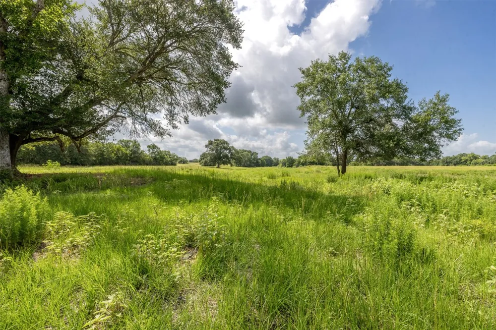 4046 State Highway 21 Caldwell, TX 77835
