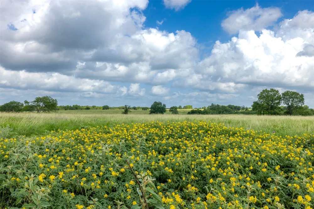 4046 State Highway 21 Caldwell, TX 77835