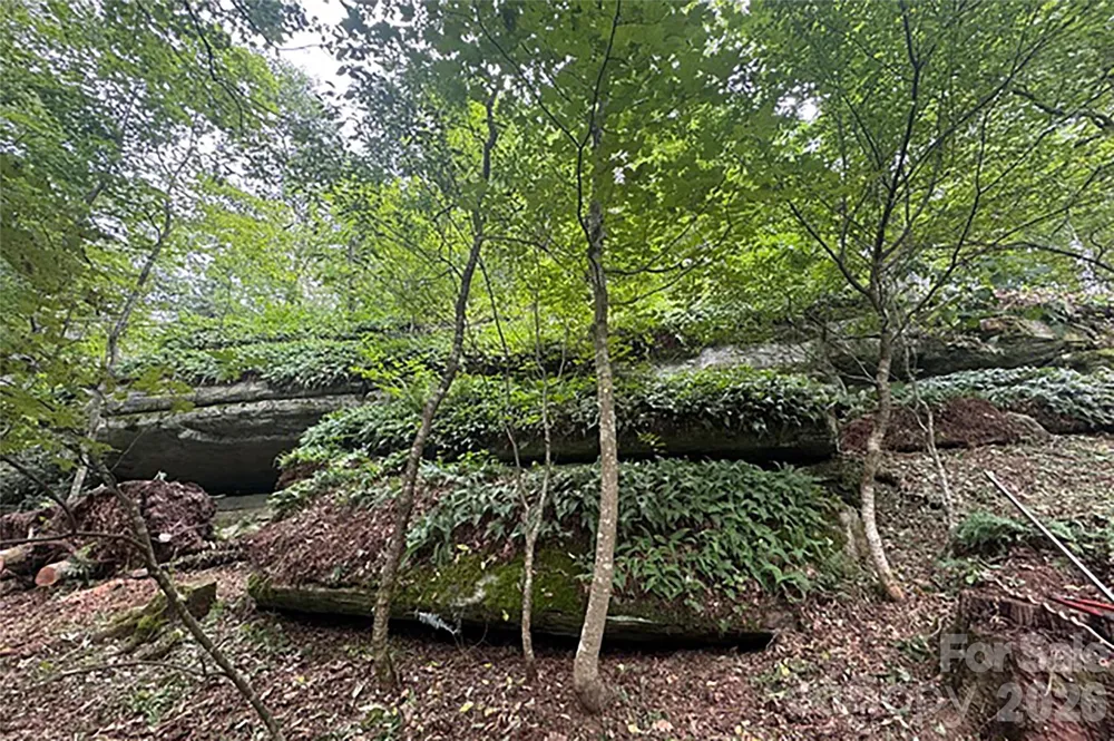 000 Laurel Ledge Way #23 Fletcher, NC 28732