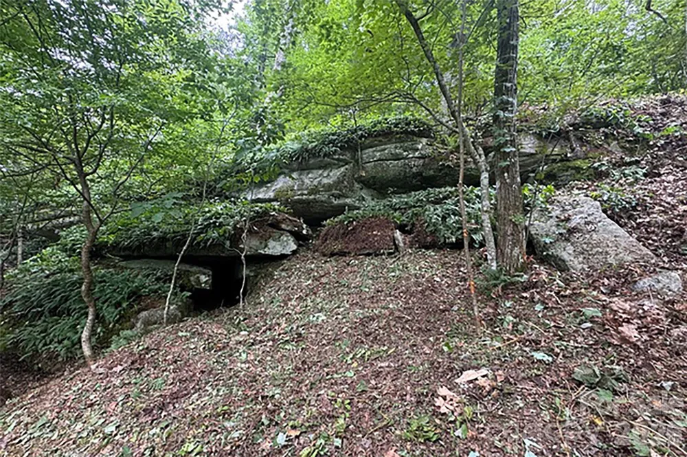 000 Laurel Ledge Way #23 Fletcher, NC 28732