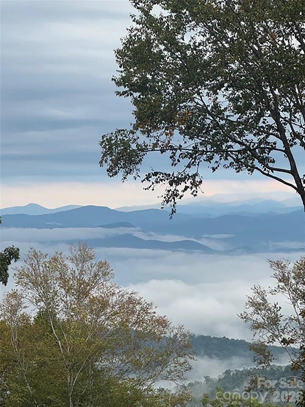 000 Laurel Ledge Way #23 Fletcher, NC 28732