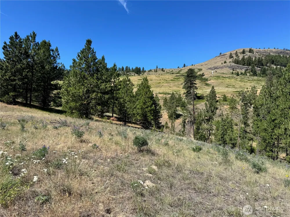 1 A Lundimo Meadows Road Curlew, WA 99118