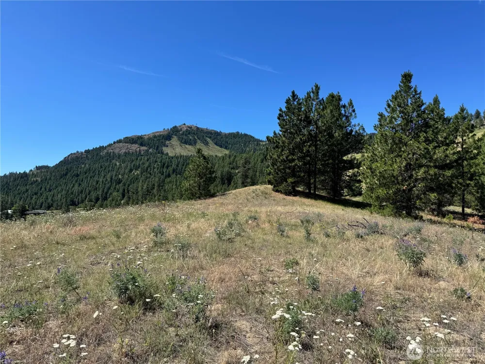 1 A Lundimo Meadows Road Curlew, WA 99118