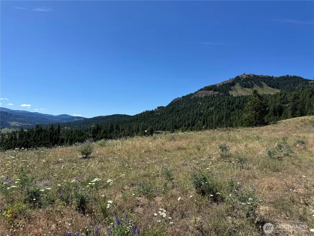 1 A Lundimo Meadows Road Curlew, WA 99118