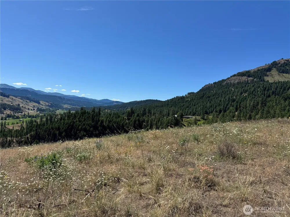 1 A Lundimo Meadows Road Curlew, WA 99118